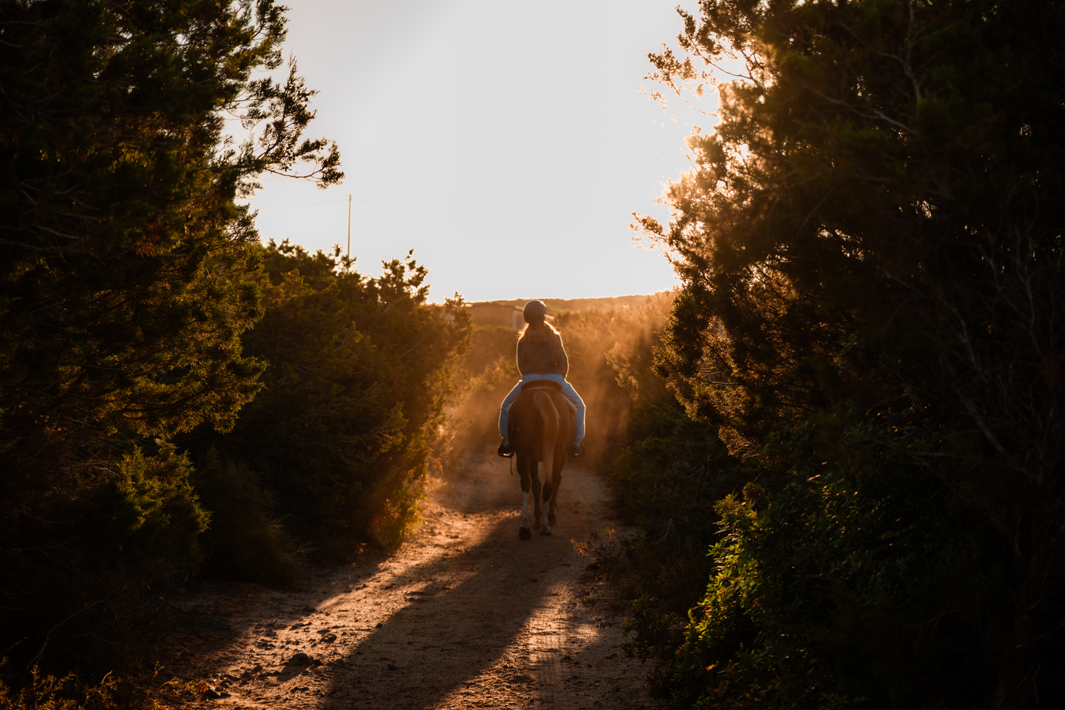 Cavalière à contre-jour sur un sentier au lever du soleil, Sant'Antioco