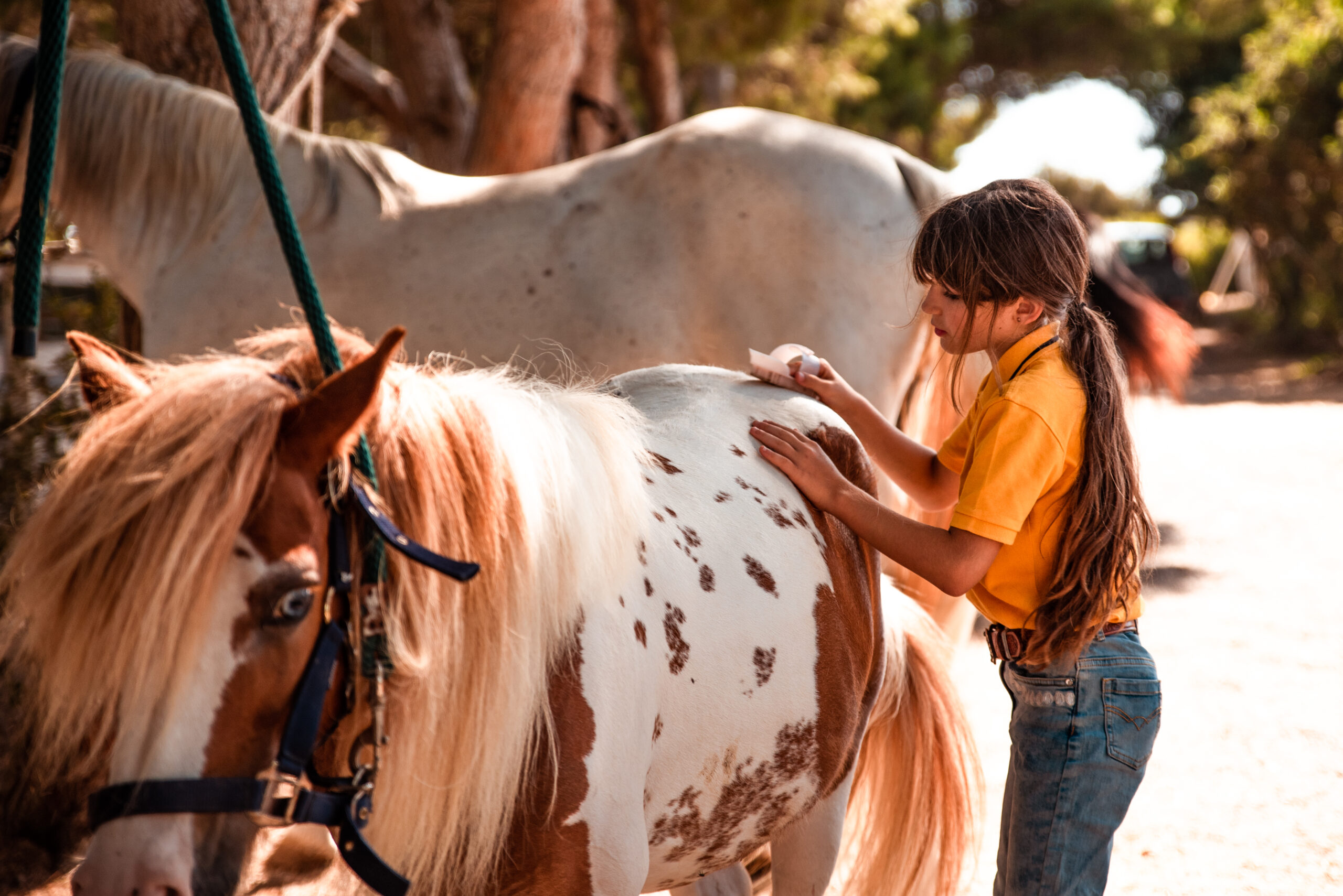 Fillette brossant un poney à l'école de poney du Carolina Ranch